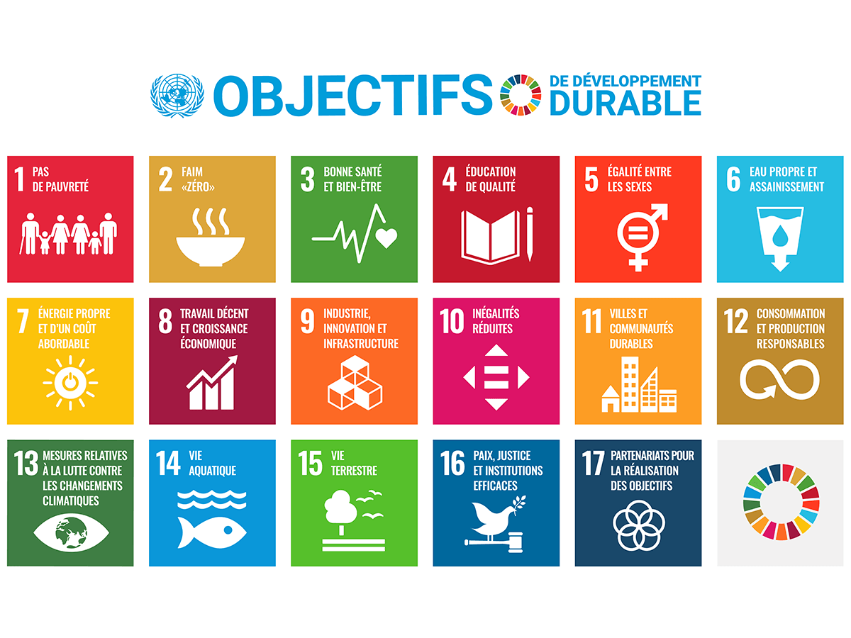ONU 17 ODD objectifs de développement durable